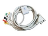 Kabel ASPEL KEKG-51 v.103 do cykloergometru CRG200 oraz CRG-601 (10 odprowadzeń)