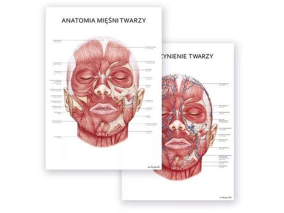 Plakaty Anatomia Twarzy - komplet 2szt.