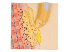 Model płytka końcowa C40/4