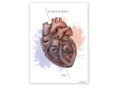 Plakat Budowa Serca - Knock Knock
