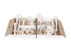 Połowa rozmontowanego szkieletu A04