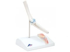 Mini staw łokciowy z przekrojem poprzecznym A87/1