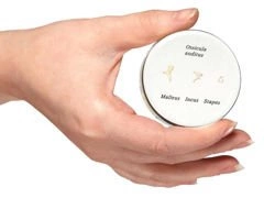 Model kosteczki słuchowe E13